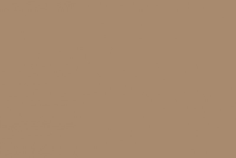 Laminované drevotrieskové dosky / U250 ST9 Karamelovo béžová - foto