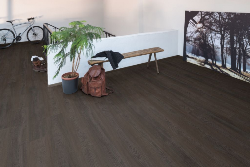 Podlahy - Egger Basic Laminate / DC8100 DUB BLACK - foto Podlahy - Egger Basic Laminate / DC8100 DUB BLACK - foto