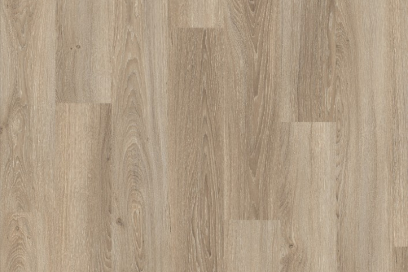 Podlahy - Egger Basic Laminate / EPL102 DUB AMNIENS SVETLÝ - foto